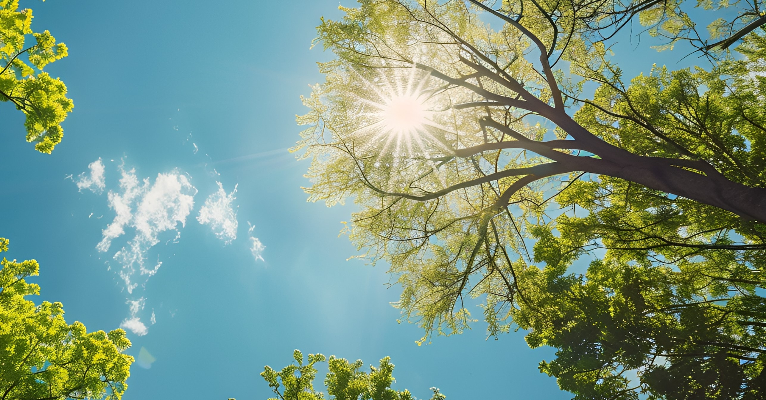Thankfulness in the Open Air